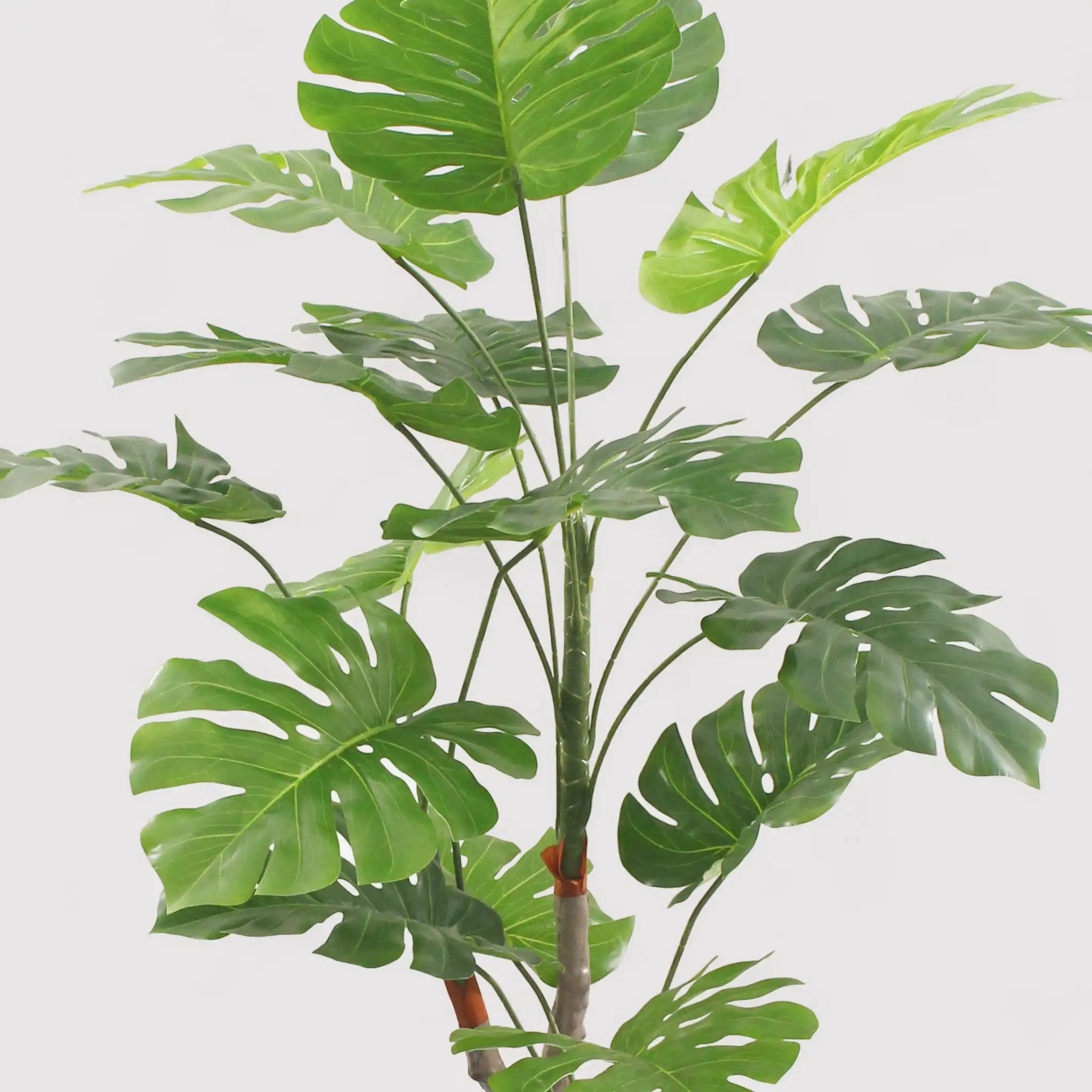 Merah - Finta monstera ornamentale e realistica H 155 cm - Image 3