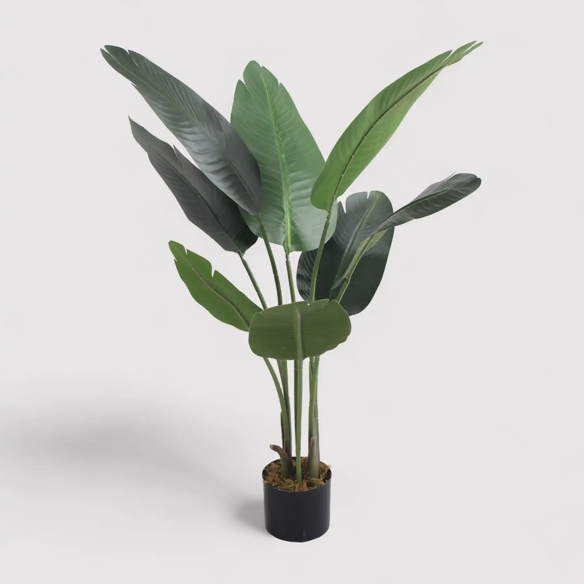 Taznit - Banano artificiale ornamentale per interno o esterno